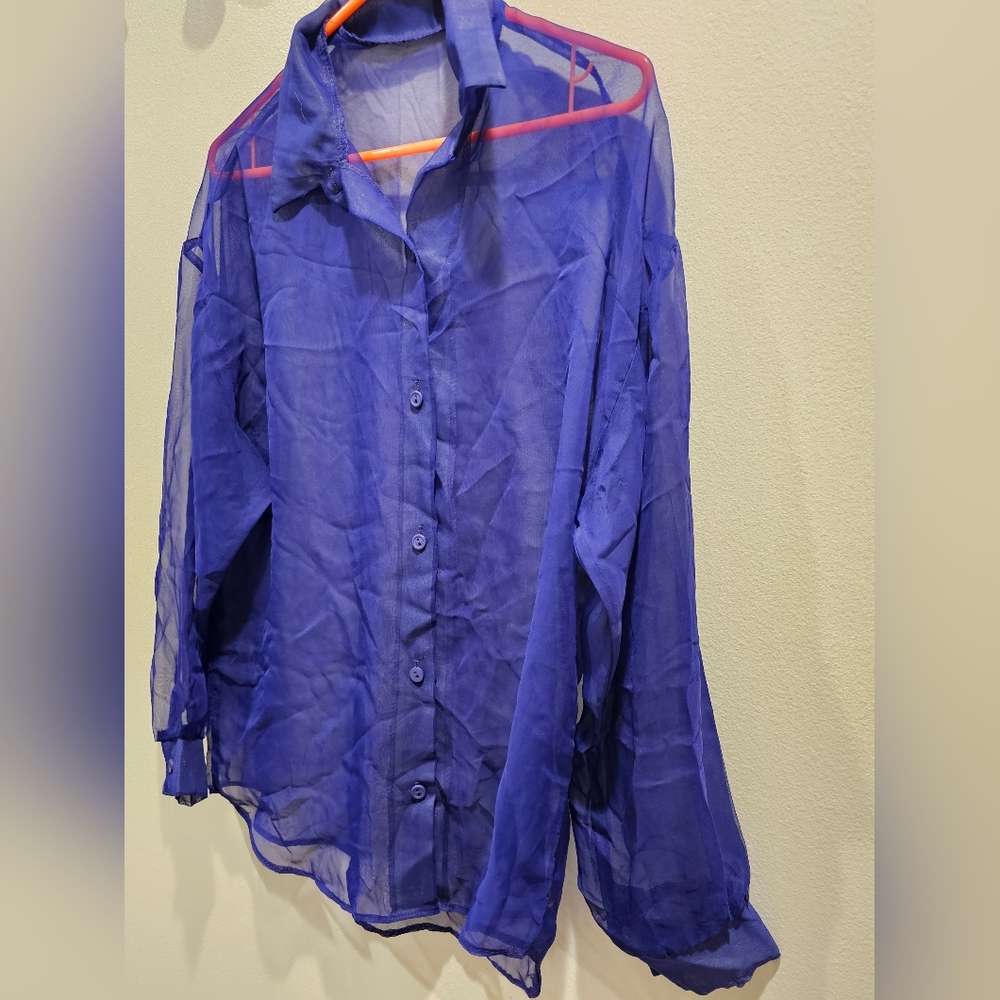 Vintage Sheer Blue Button-Up Blouse - Picture 3 of 4
